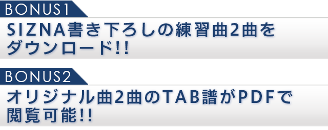 SIZNAレッスン動画ボーナス特典